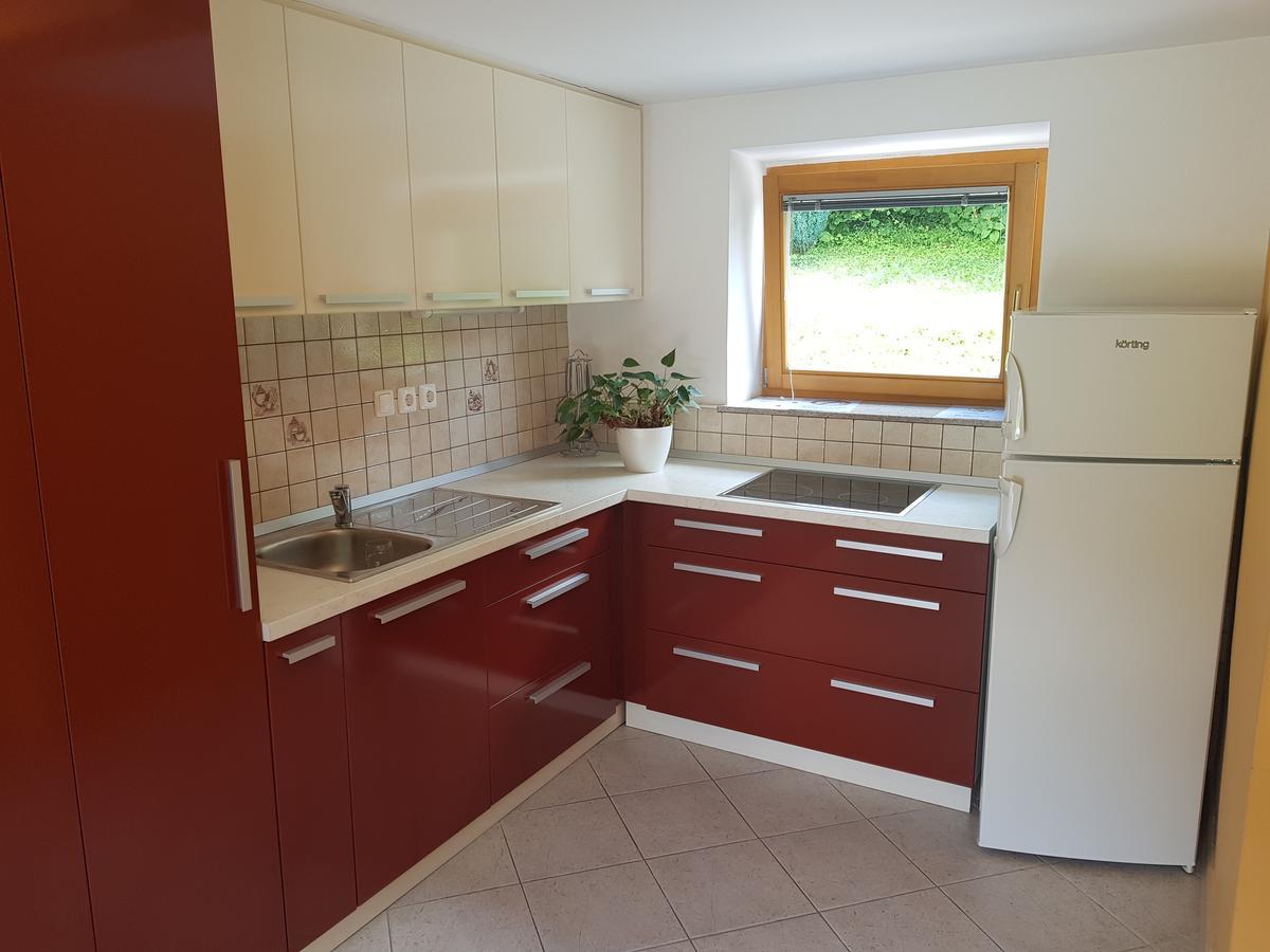 Domacija Vodnik & Apartments Cerklje na Gorenjskem Esterno foto